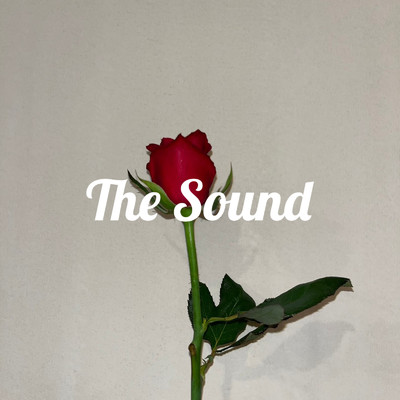 シングル/The Sound/Goodie Bag