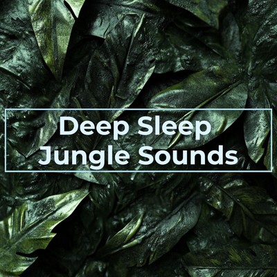 アルバム/Deep Sleep Jungle Sounds/Nature sounds for deep sleep
