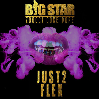 アルバム/Just 2 Flex/Big Star