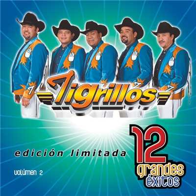 アルバム/12 Grandes exitos Vol. 1/Los Tigrillos