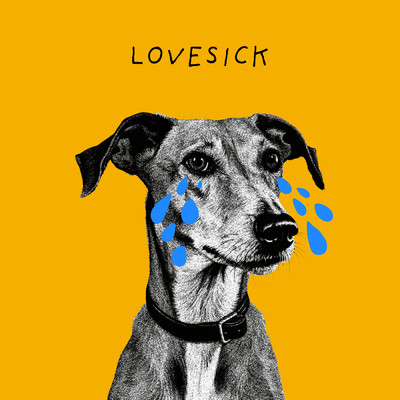 Lovesick/Gavin James