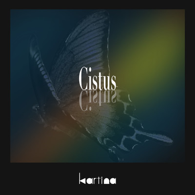 アルバム/Cistus/Kartina