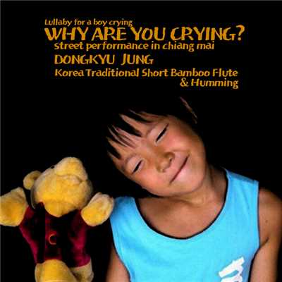 シングル/WHY ARE YOU CRYING/DongKyu Jung