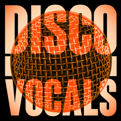 Disco Vocals: Soulful Dancefloor Cuts Featuring 23 Of The Best Grooves/Various Artists