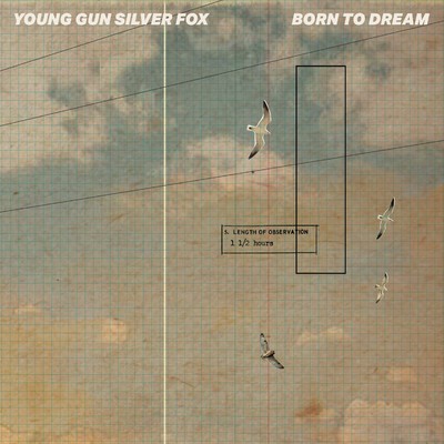 シングル/STEVIE & SLY/YOUNG GUN SILVER FOX