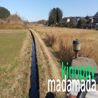 シングル/madamada/kinoppy