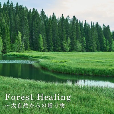 Forest Healing〜大自然からの贈り物/Relaxing Piano Crew
