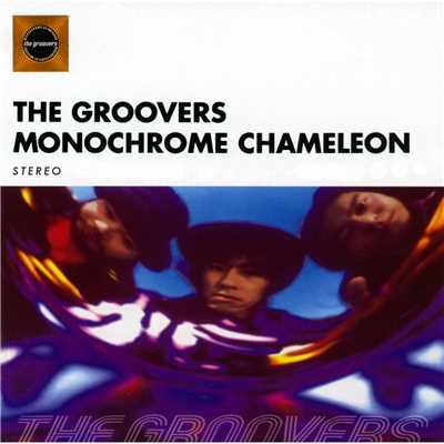 MONOCHROME CHAMELEON/THE GROOVERS
