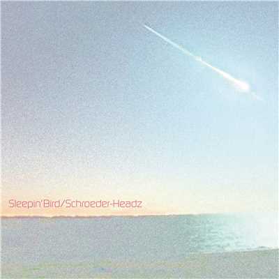 Sleepin' Bird feat. Shing02 - remixed by NUMB/Schroeder-Headz