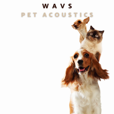 シングル/Wavs/Pet Acoustics