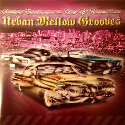 Urban Mellow Groove/Various Artists