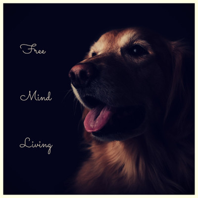 Free Mind Living/PianoDreams／Dog Music／Lapsus