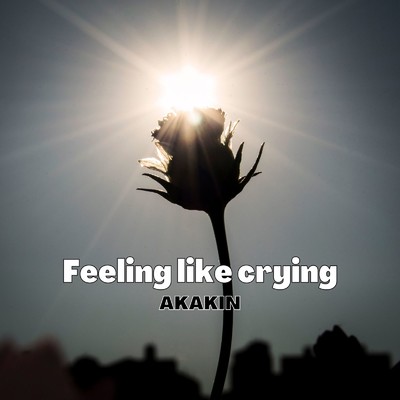 Feeling like crying/AKAKIN