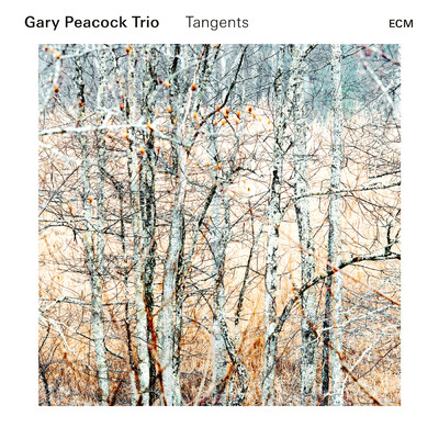 Contact/Gary Peacock Trio