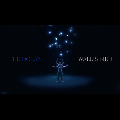 シングル/The Ocean/Wallis Bird
