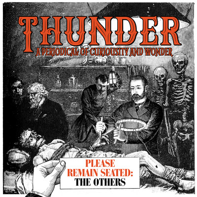アルバム/Please Remain Seated - The Others/Thunder