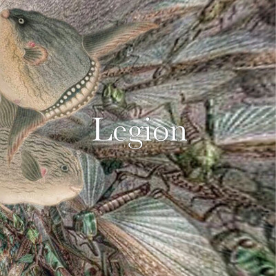 シングル/Legion (feat. Yo-1)/首領・チンジャオ