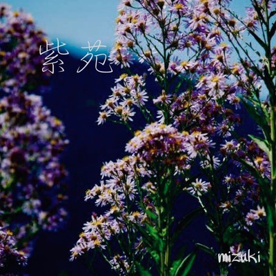 シングル/紫苑/mizuki