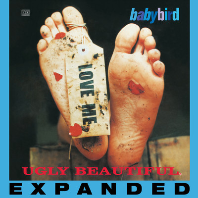 アルバム/Ugly Beautiful (Expanded)/Babybird