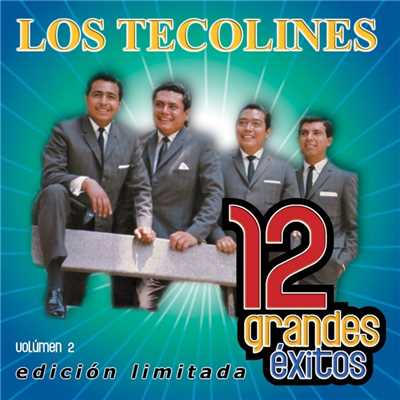 12 Grandes exitos Vol. 2/Los Tecolines
