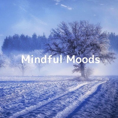 アルバム/Mindful Moods/Soulful Symphony