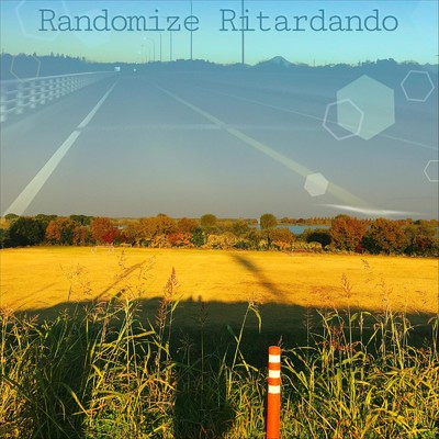 Randomize Ritardando/Portrait Notes