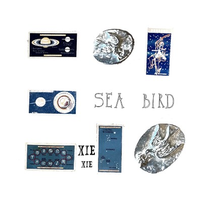 シングル/sea bird/xiexie