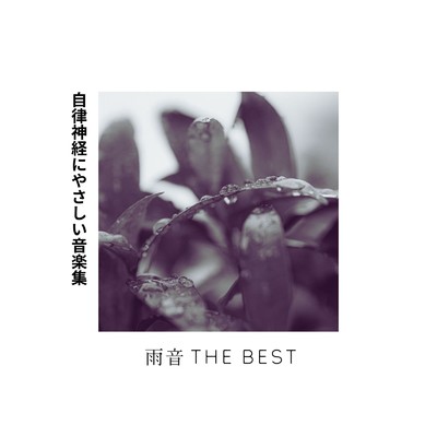 アルバム/雨音THE BEST〜自律神経にやさしい音楽集〜/自然の音とヒーリングミュージック