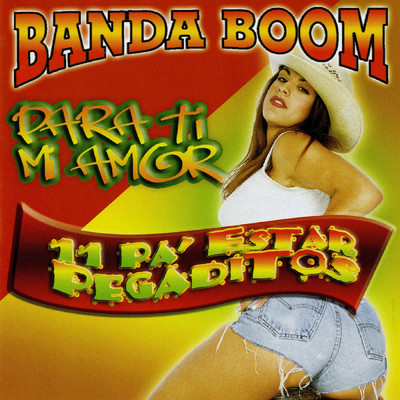 アルバム/Para Ti Mi Amor: 11 Pa' Estar Pegaditos/Banda Boom