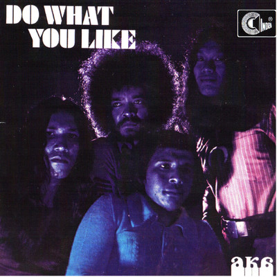 Do What You Like/Various Artists