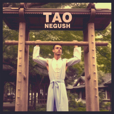 TAO/Negush