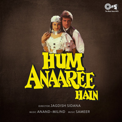 アルバム/Hum Anaaree Hain (Original Motion Picture Soundtrack)/Anand-Milind
