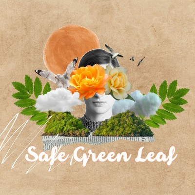 シングル/Safe Green Leaf/吉田