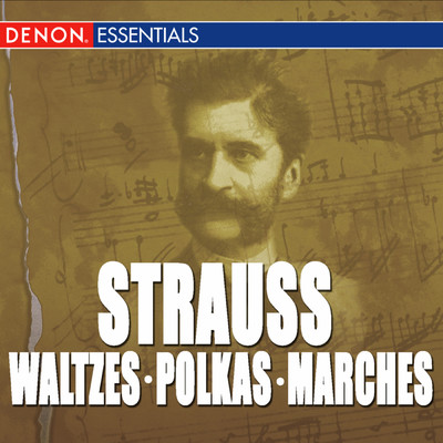 アルバム/Great Strauss Waltzes, Polkas & Marches: Cesare Cantieri & The Viennese Folk Opera Orchestra/Various Artists
