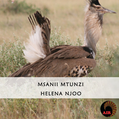 アルバム/Helena Njoo/Msanii Mtunzi