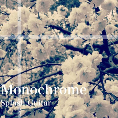 アルバム/Monochrome/Splash Guitar