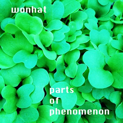 parts of phenomenon/wonhat