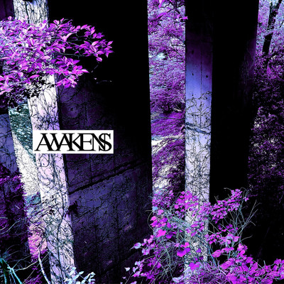 Distorted Reality (Instrumental)/AWAKENS