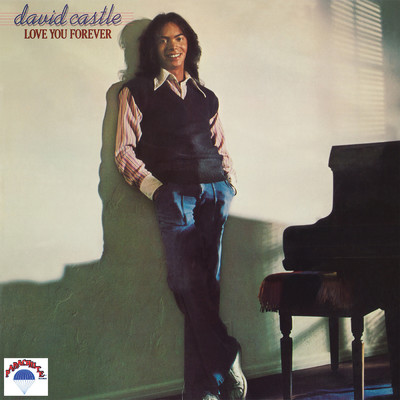 I'll Always Be Here When You Need Me/David Castle
