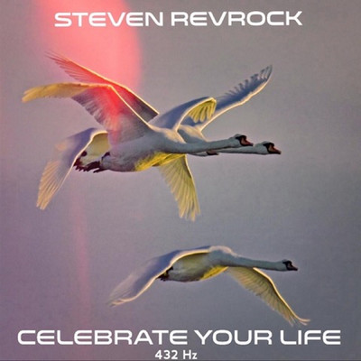 Celebrate Your Life 432 Hz/Steven Revrock
