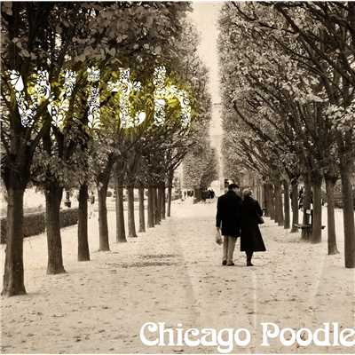 with/Chicago Poodle