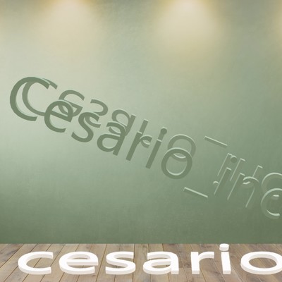 Cesario_inc/cesario