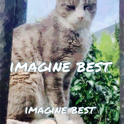 IMAGING BEST/Imagine best