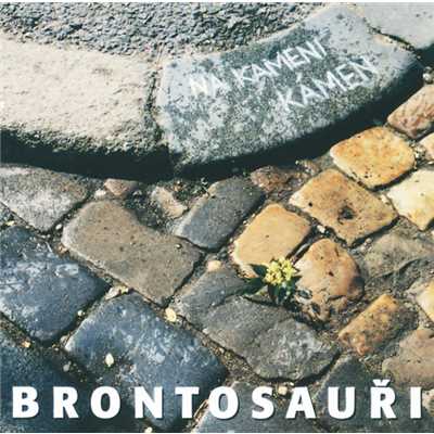 Na kameni kamen/Brontosauri