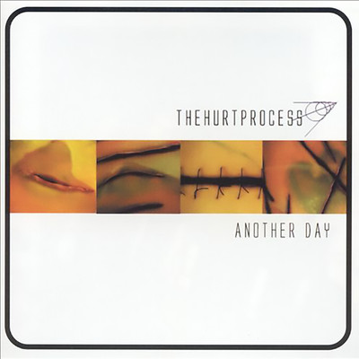 アルバム/Another Day/The Hurt Process