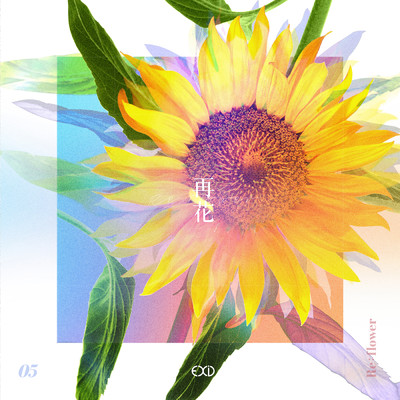 [Re:flower] PROJECT #5/EXID