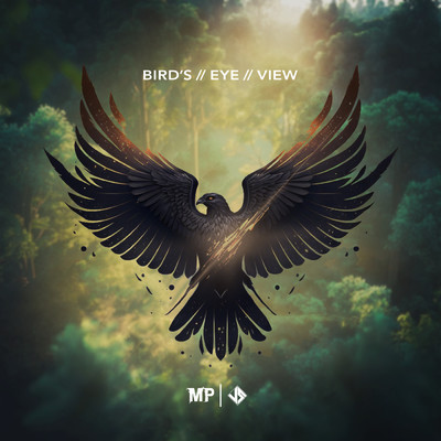 シングル/Bird's Eye View/マシュー・パーカー／Jacob Stanifer