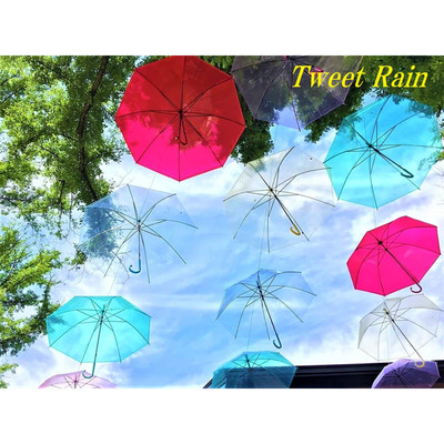 シングル/Tweet Rain/Knoshi