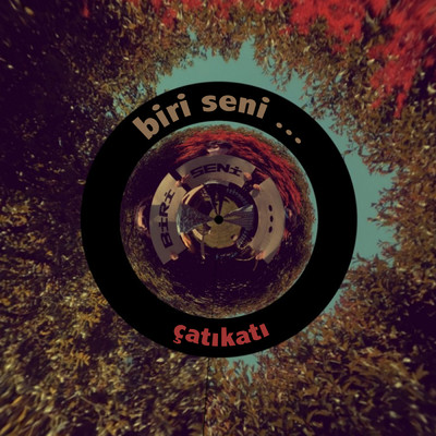 シングル/biri seni.../catikati