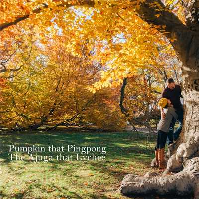 Pumpkin that Pingpong/The Ajuga that Lychee